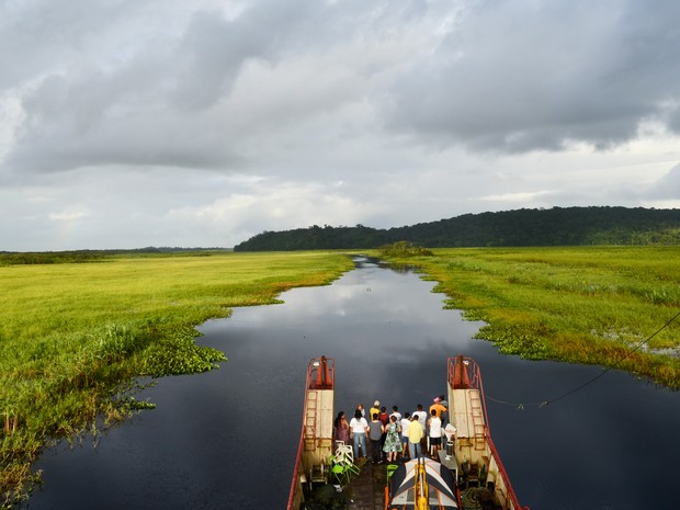 Parte do caminho em direção a aldeia, a vegetação tem campos alagados (Foto: Abinoan Santiago/G1)