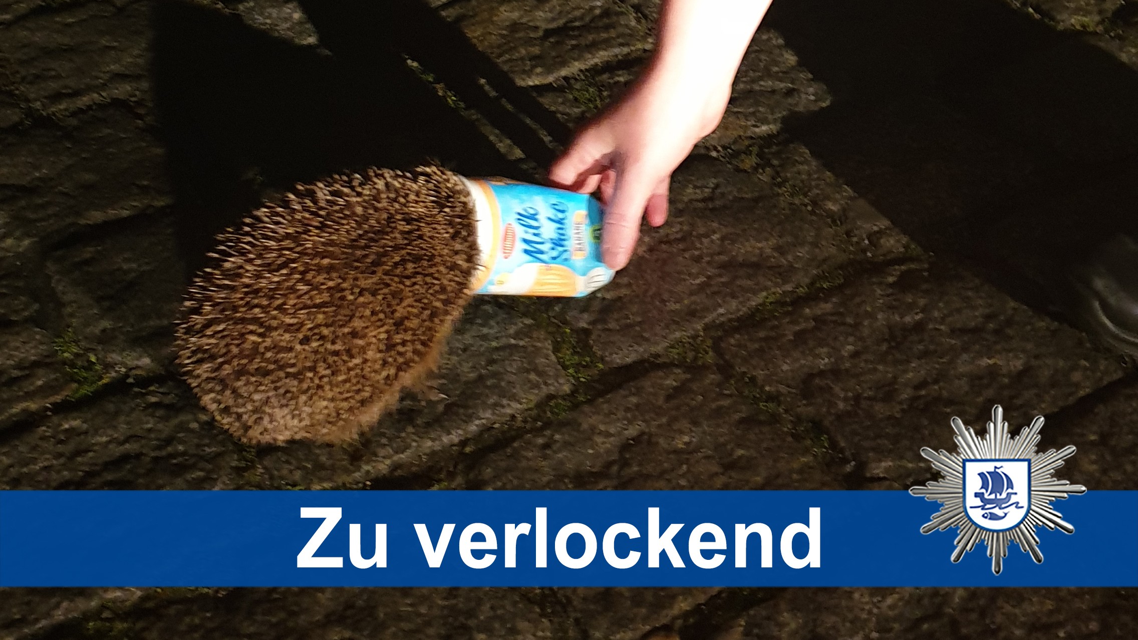 Polícia resgata ouriço preso em copo de milk-shake na Alemanha thumbnail