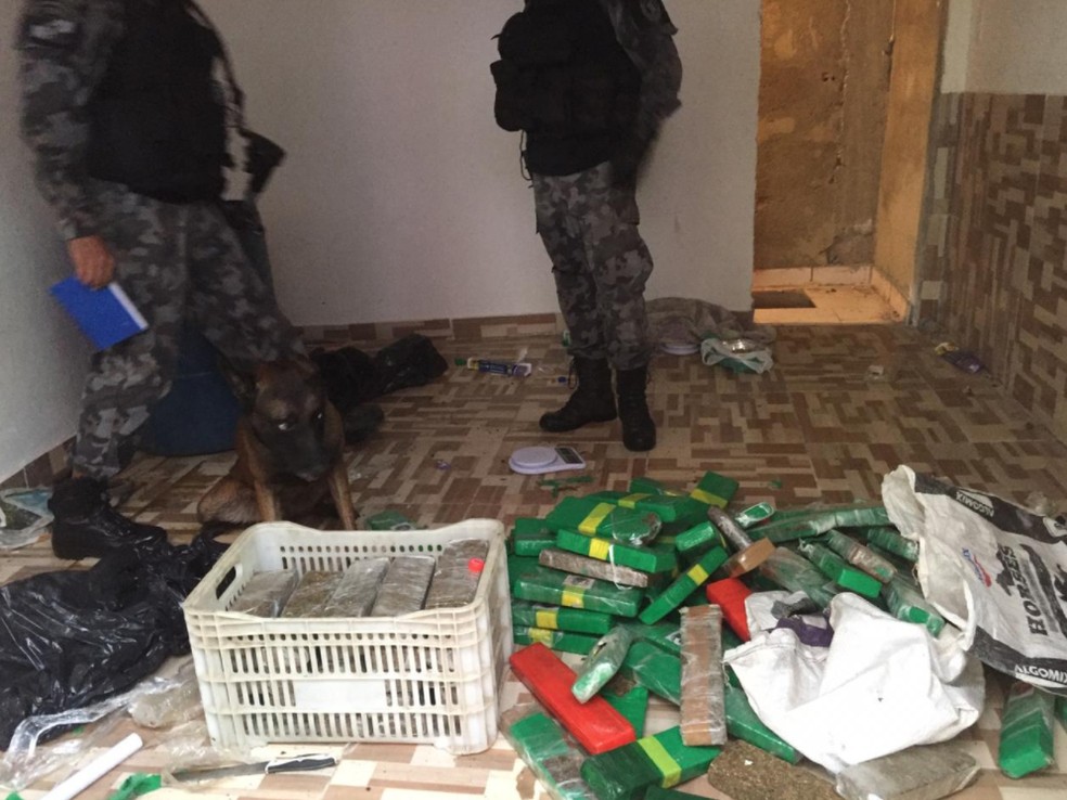 PolÃ­cia Militar apreendeu mais de 500 kg de drogas na comunidade de Manguinhos, na Zona Norte do Rio â?? Foto: ReproduÃ§Ã£o/ PMERJ