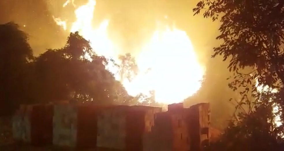 Fogos no Parque dos Poderes; combate se estendeu durante toda esta madrugada (20) — Foto: Corpo de Bombeiros/Divulgação