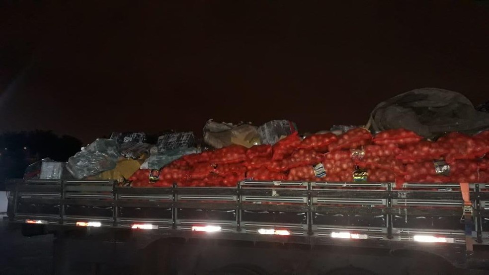 Mais de uma tonelada de maconha é apreendida escondida em carga de cebola em Osasco — Foto: Divulgação Deic