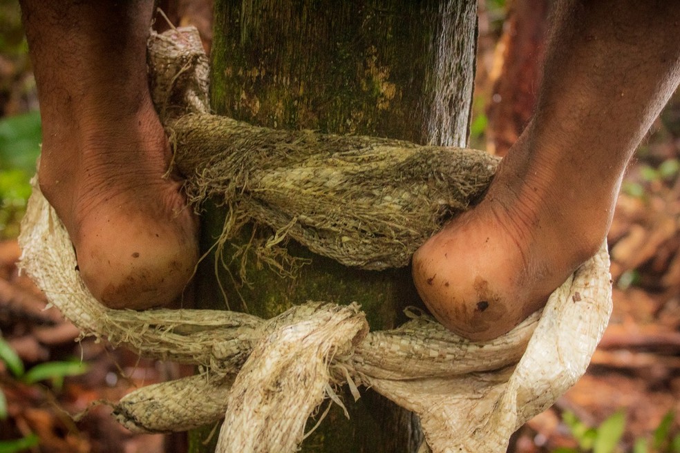 Documentário 'Açaí, Pérola Negra' foi gravado em Guajará-mirim, Rondônia — Foto: Joilson Arruda /arquivo pessoal