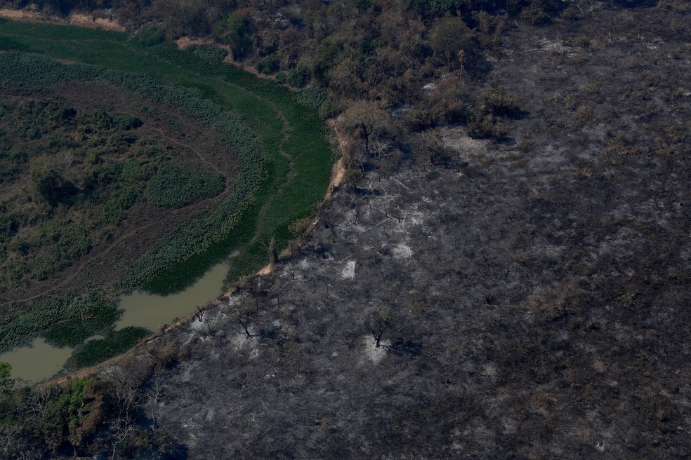 Foto area mostra rvores queimadas e vegetao destruda pelo fogo no Pantanal, a maior rea mida do mundo, em Pocon (MT)  Foto: Amanda Perobelli/Reuters