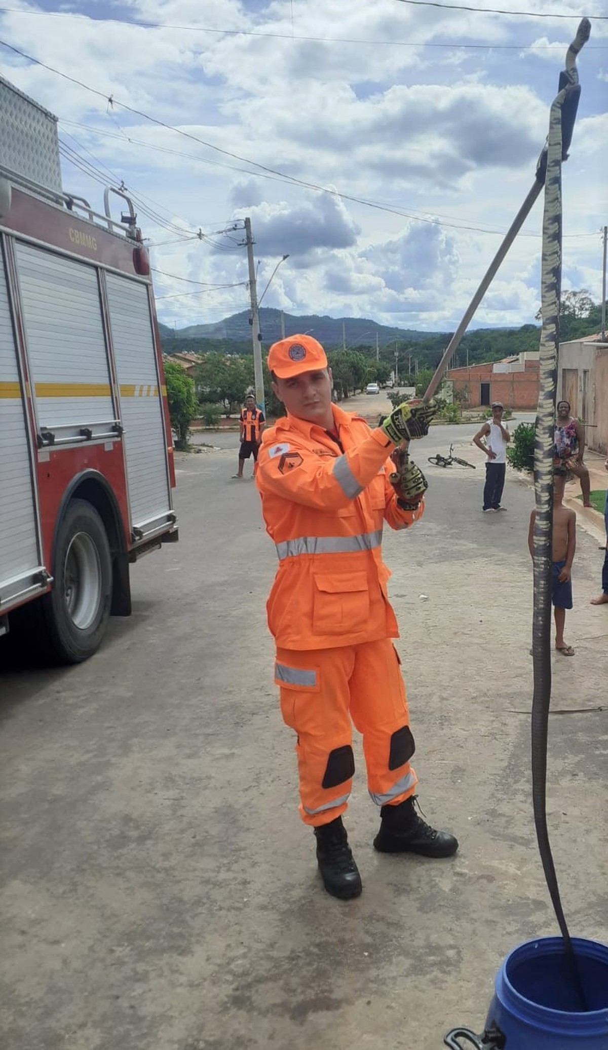 Morador encontra cobra de dois metros no quintal de casa em Montes Claros