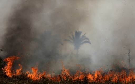 Produtores e usinas de cana lançam campanha para prevenção de incêndios em SP - Vimarsana News