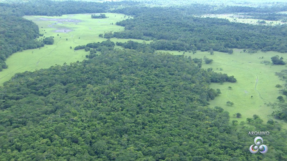 Extinção de reserva na Amazônia pegou ambientalistas e centros de pesquisa brasileiros de surpresa (Foto: Reprodução/Rede Amazônica)