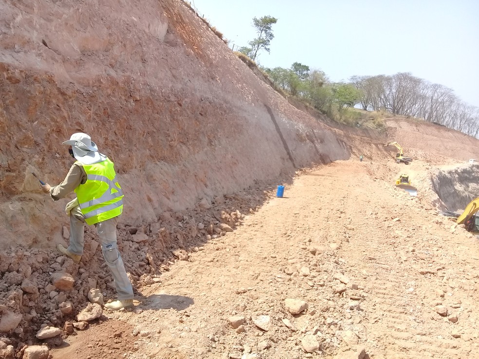 Paleontólogo William Nava no local onde os fósseis foram localizados em rodovia na região de Marília — Foto: Arquivo pessoal