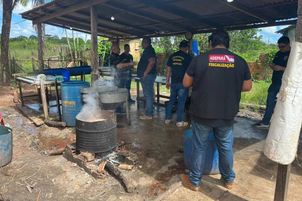 Fiscais e policiais durante a ação em um dos abatedouros fechados na Grande Belém — Foto: Adepará/Ascom