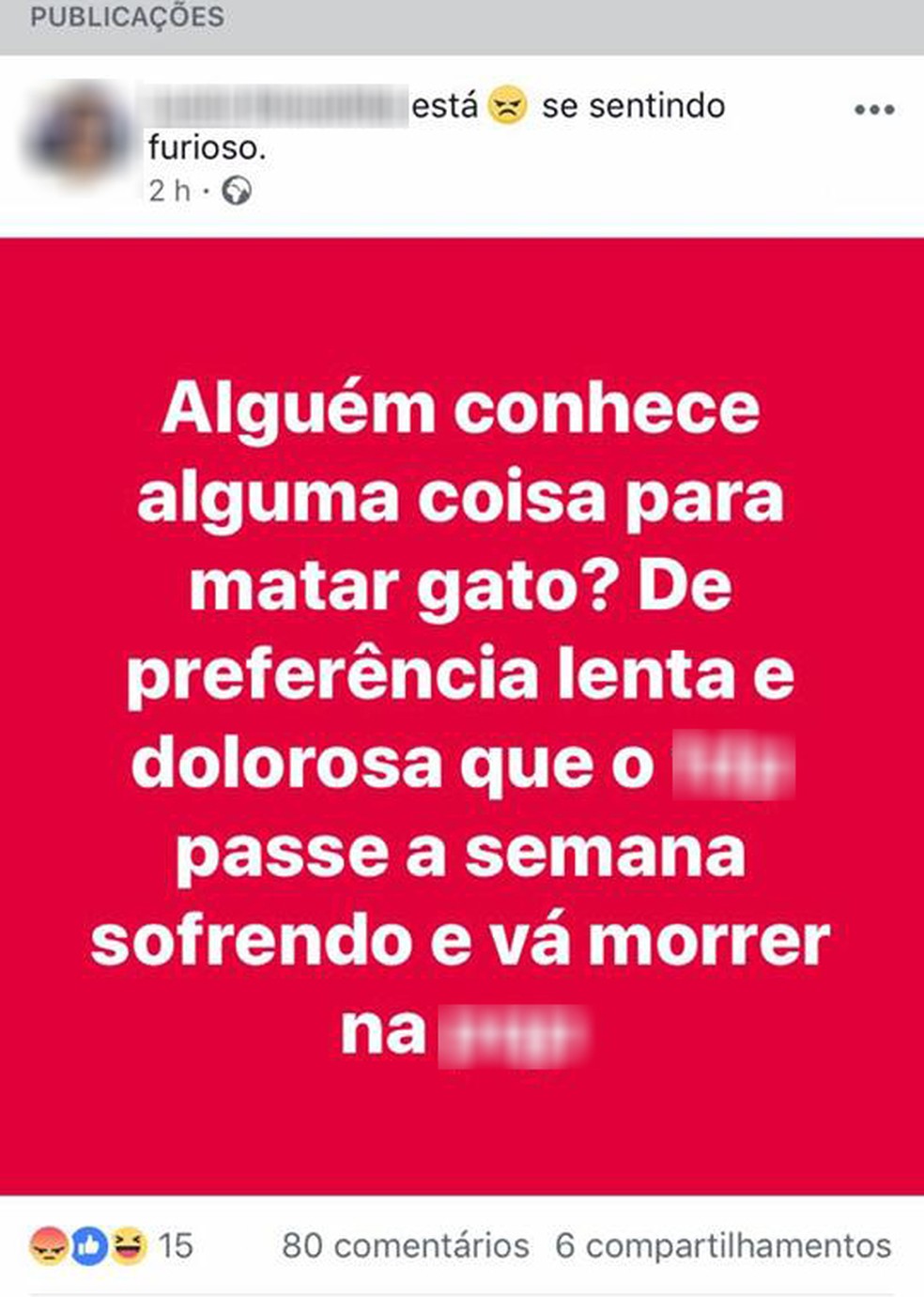 Post de funcionário com ameaça a gato gera críticas em página de empresa (Foto: Reprodução/ Facebook)