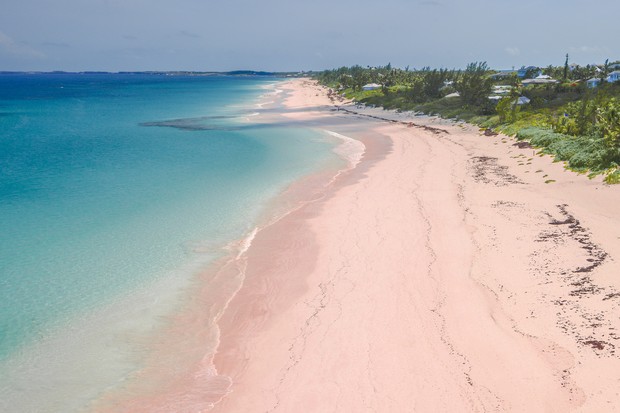 Conheça 10 praias cor-de-rosa espalhadas ao redor do mundo (Foto: Getty Images/RooM RF)