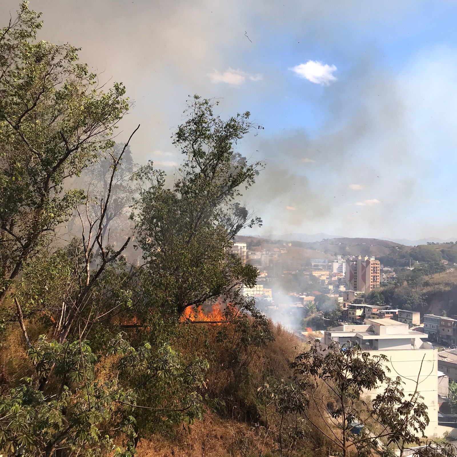 VÍDEO: Incêndio atinge área de vegetação rodeada de casas e prédios em Barra Mansa