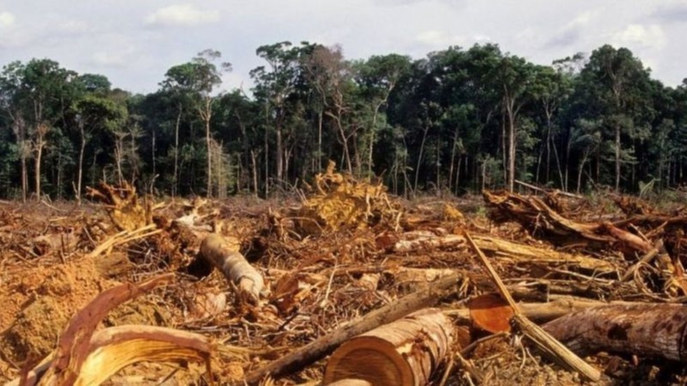Desmatamento na Amazônia atingiu em 2020 o maior índice dos últimos 12 anos — Foto: Getty Images via BBC
