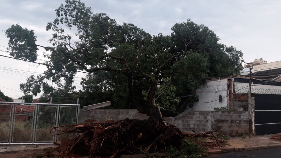 Tempestade provocou estragos na rede elétrica, em Presidente Prudente (SP), nesta sexta-feira (1º) — Foto: Edson Santana