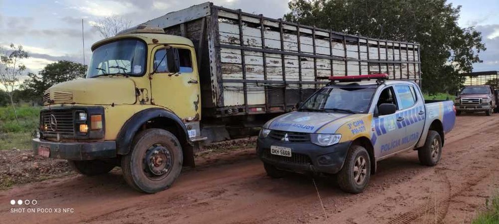 Polícia prendeu suspeito de furtar gado no interior do Tocantins — Foto: Divulgação/PM