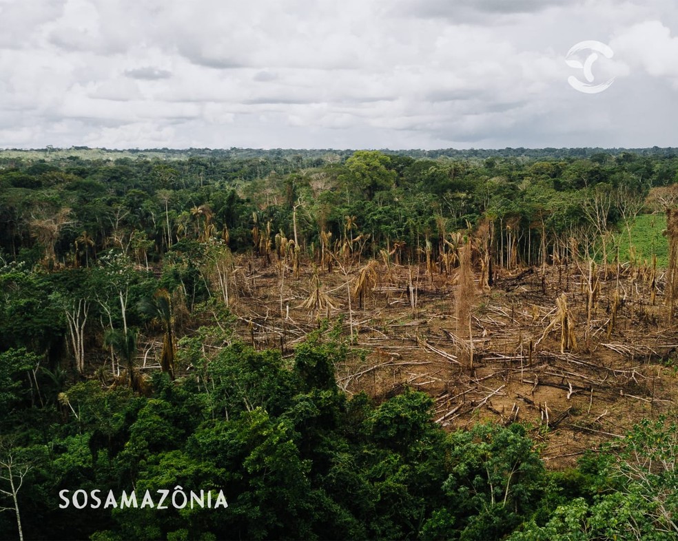 Desmatamento no Acre em 2021 foi o pior em dez anos — Foto: Arquivo/SOS Amazônia