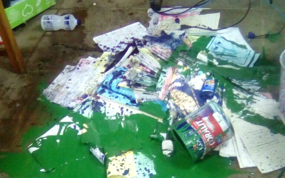 Bandidos derramaram álcool e tinta verde sobre diversos documentos (Foto: Arquivo pessoal)