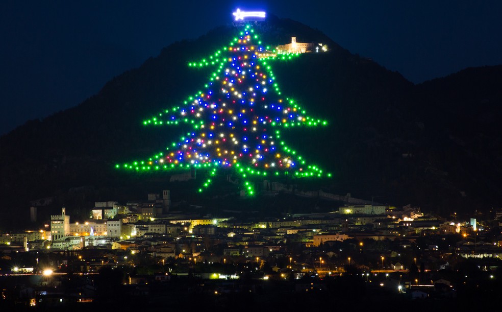 Como começou a árvore de Natal? Veja 7 curiosidades sobre essa tradição |  Cidade Iluminada | G1