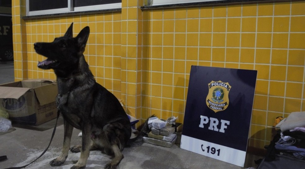 Mulher &eacute; presa depois de ser flagrada  transportando maconha escondida em sacos de arroz no oeste da Bahia &mdash; Foto: Divulga&ccedil;&atilde;o/PRF