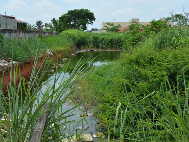 Terreno ao lado do lote apelidade de lagoa da dengue é abrigo de usuários de drogas e acumula lixo (Foto: Ísis Capistrano/ G1)