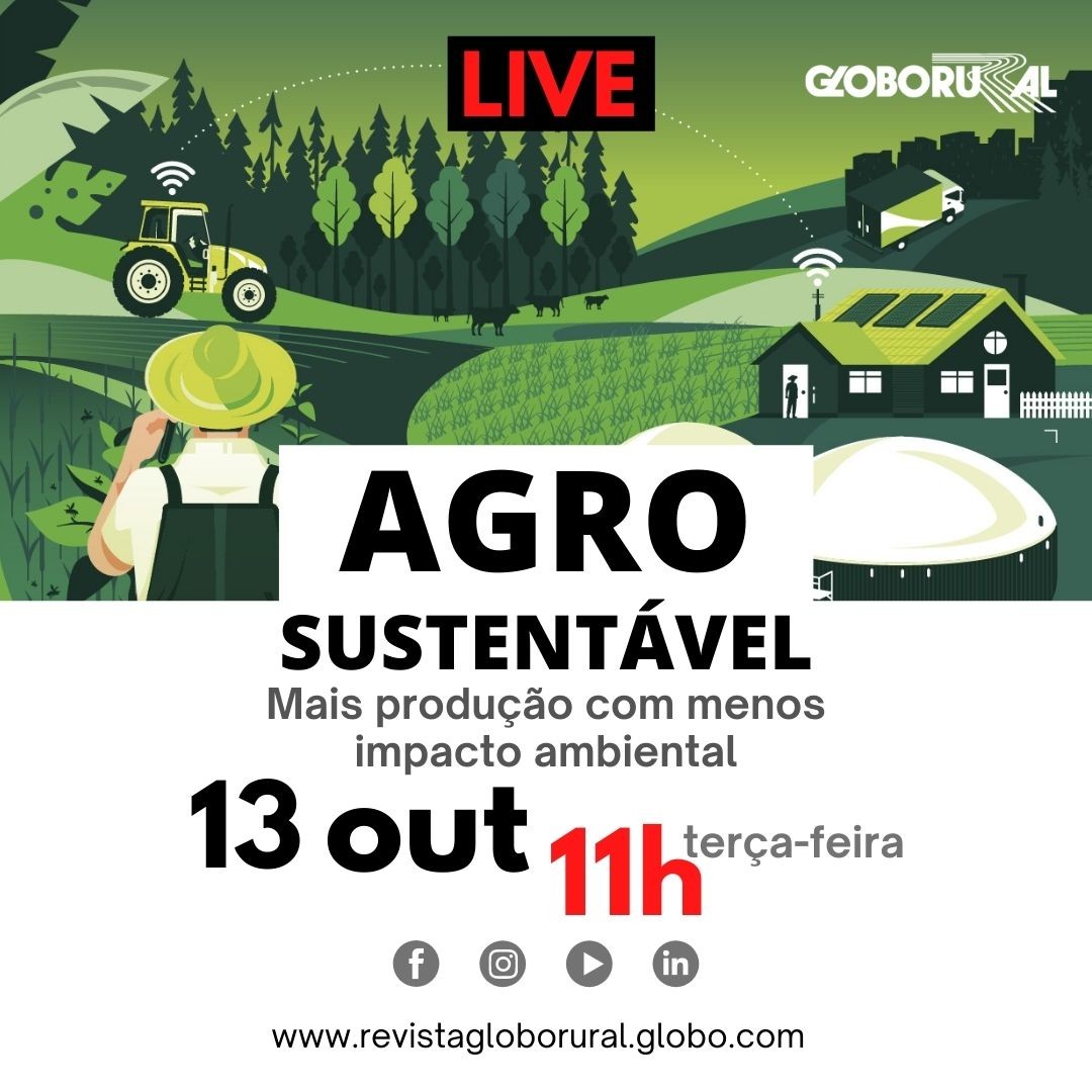 live-agro-sustentavel (Foto: Estúdio de criação/Ed. Globo)