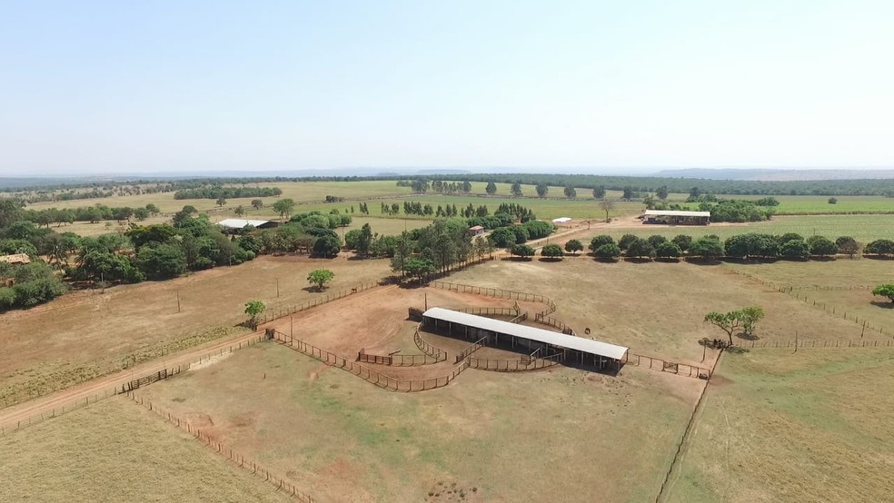 Fazendas são mapeadas e dados ajudam a traçar perfil do agronegócio em Figueirão (MS). — Foto: Prefeitura de Figueirão/Divulgação