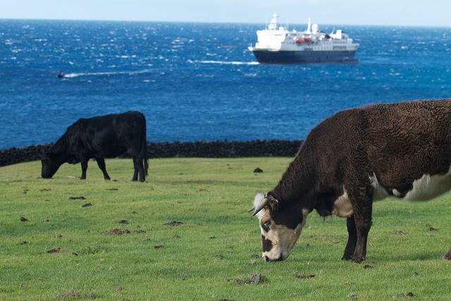 Ilha Tristão da Cunha (Foto: Brian Gratwicke/Flickr/Creative Commons)