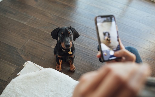 Após demissão, ela criou pet shop com ofurô, massagem e creche