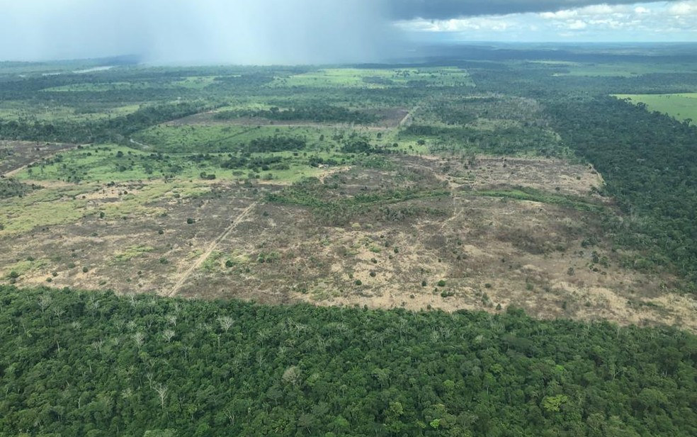 Pressão do consumo e queda da biocapacidade são fatores para a sobrecarga — Foto: Ananda Porto/TG