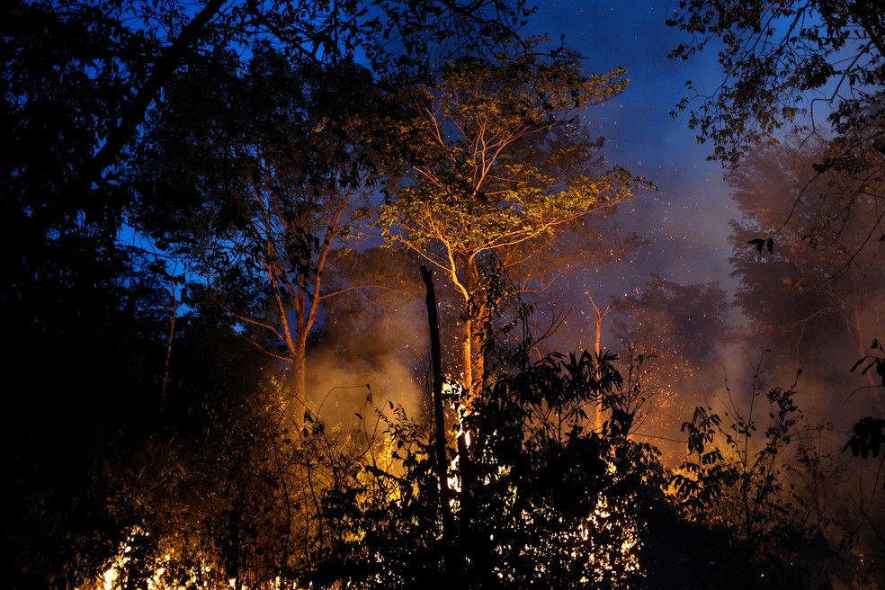 Trecho da selva amazônica em chamas em Canarana, no Mato Grosso, nesta segunda-feira (26) — Foto: REUTERS/Lucas Landau