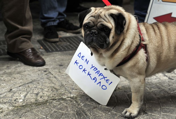 Cão 'protestou' nas ruas de Atenas com placa 'não há mais ossos' (Foto: Louisa Gouliamaki/AFP)