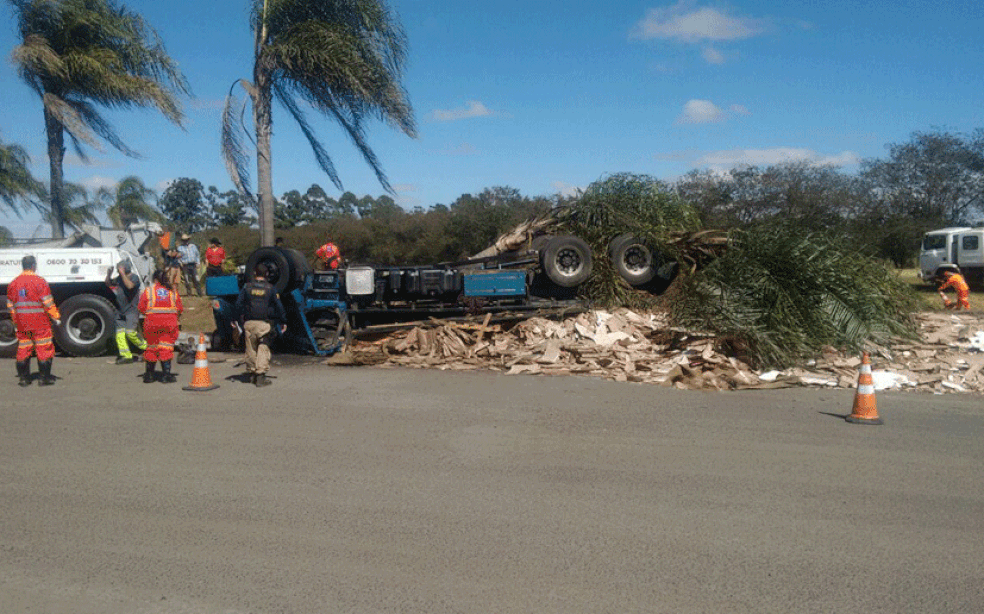 Caminhão carregado com piso tombou no acostamento da BR-153 em Ocauçu  (Foto: Gustavo Eugênio de Oliveira / Arquivo pessoal )