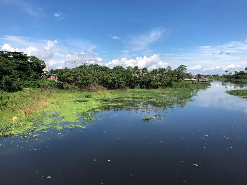 Corpo De Homem E Encontrado Em Estagio De Decomposicao Em Igarape Em Manaus Amazonas G1