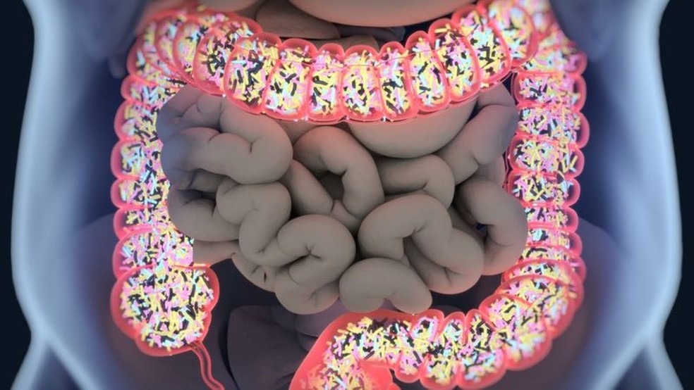 O microbioma é um conjunto de micro-organismos que habita várias partes do corpo, como os intestinos — Foto: Getty Images via BBC
