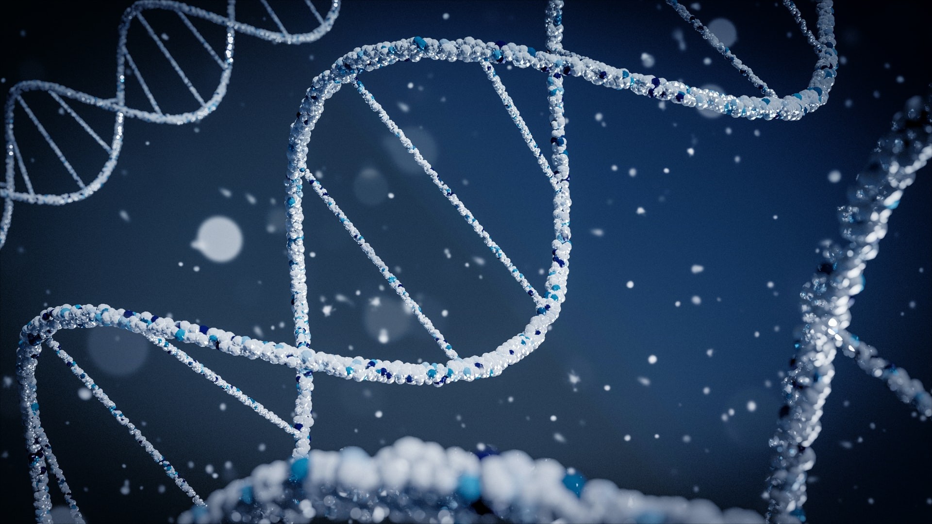 Pesquisadores geraram a primeira sequência completa do genoma humano  (Foto: Braňo/Unsplash)