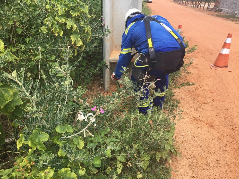 Cosern desativou 35 gatos de energia em Areia Branca â€” Foto: DivulgaÃ§Ã£o