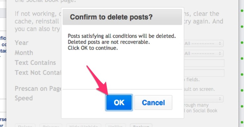 Ação para autorizar que a extensão Social Book Post Manager delete os posts de seu Facebook — Foto: Reprodução/Marvin Costa
