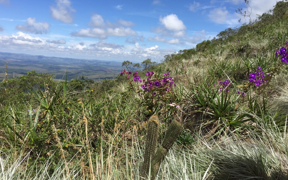 Parque Estadual do Ibitipoca - passeios são aulas práticas de biologia, em que se pode observar riqueza do relevo e da vegetação — Foto: Vivian Reis/G1