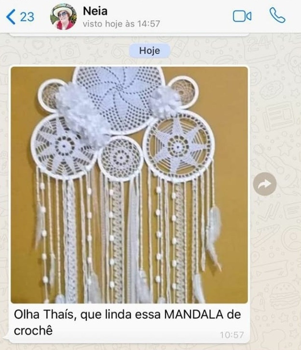Idosa de 76 anos envia mensagens para Araraquara e ItÃ¡lia com o manual do whatsapp.  â€” Foto: Arquivo pessoal/Thais Girassol