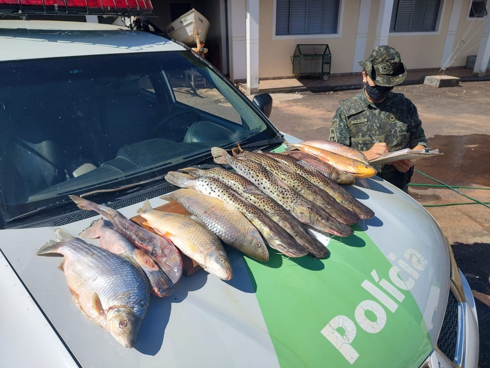 Polícia Ambiental apreendeu 22 quilos de peixes em Tupi Paulista — Foto: Polícia Ambiental