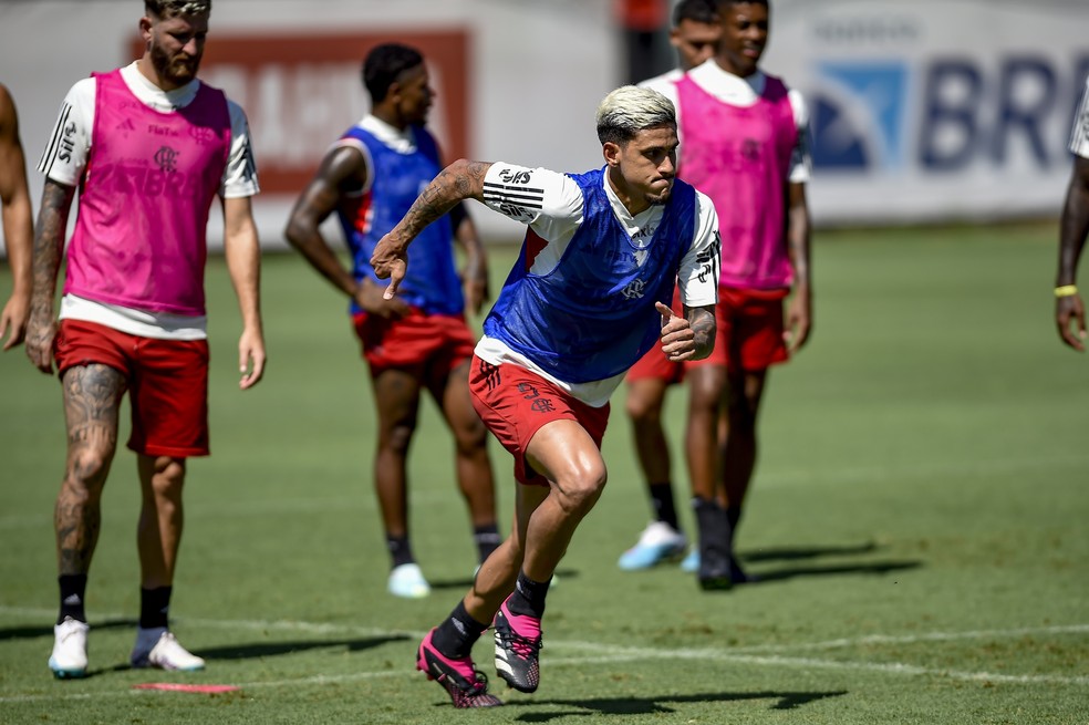 Apesar do mistério, Pedro é certeza do Flamengo contra o Fluminense — Foto: Marcelo Cortes/Flamengo