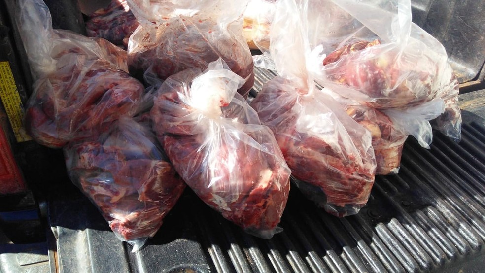 Carne estava acondicionada em vários sacos e em condições precárias de conservação, segundo a polícia — Foto: Polícia Ambiental/Divulgação