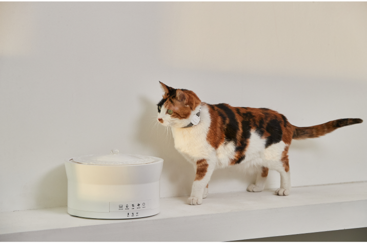 LavvieWater allows the owner to monitor the animal's daily water intake (Photo: PurrSong/Reproduction)