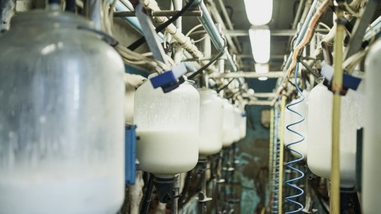 Produção e consumo de leite caem no Brasil em 2022, diz USDA