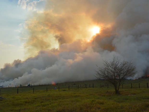 Fumaça de fogo pôde se vista a quilômetros de distância (Foto: Jonatas Boni/ G1)