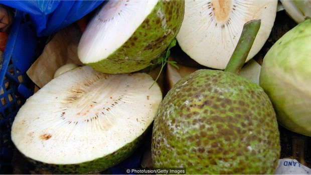 A fruta-pão, ou uru, faz parte da dieta e cultura da Polinésia Francesa (Foto: Photofusion/Getty Images via BBC)
