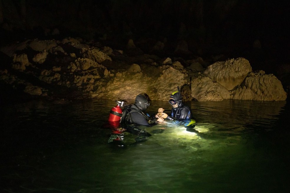 Cientistas mergulharam na caverna submersa  Abismo Anhumas em Bonito (MS) para retirar ossada dos animais — Foto: André Bittar e Paulina Chamorro