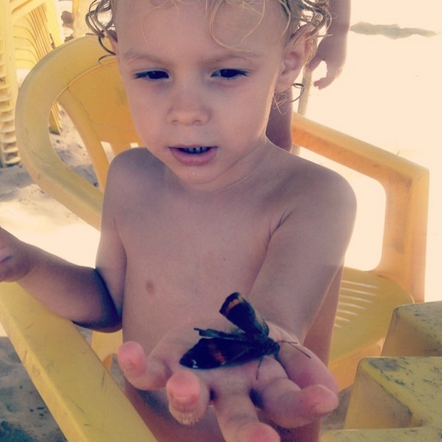 Davi Lucca se diverte com borboleta (Foto: Reprodução / Instagram)