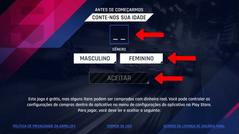 Preencha os campos e clique em Aceitar — Foto: Reprodução/Arte Nicollas Ribeiro