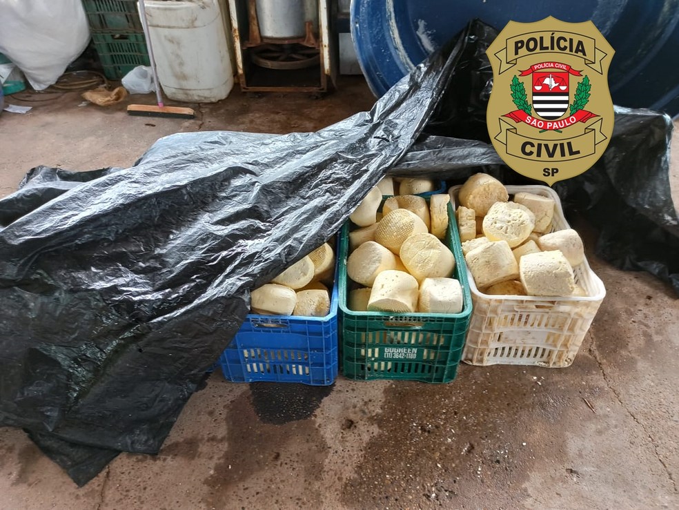 Fábrica clandestina de queijo foi fechada em Dracena — Foto: Polícia Civil