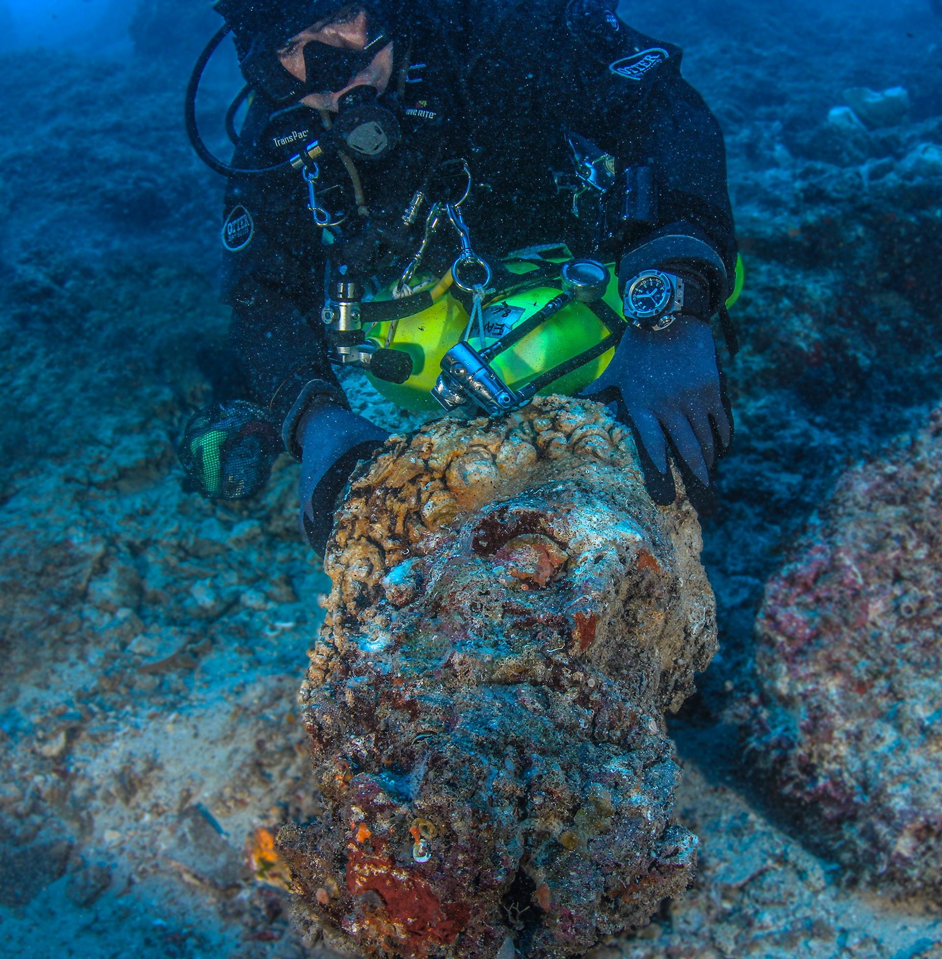 A cabeça de mármore tomada por algas foi descoberta em 2022 e pode pertencer a uma estátua antiga (Foto: Nikos Giannoulakis -  Antikythera Press Release)